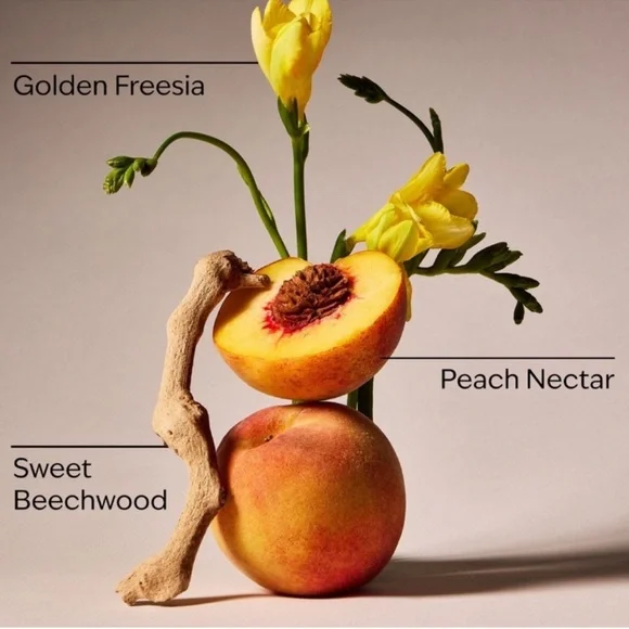 BBW × Vera Bradley Rain Boot pocketBac holder & hand sanitizers Limited Edition - Picture 7 of 9